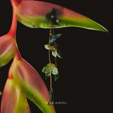 AMAZONITE BLOOM STATEMENT EARRINGS (PRE-ORDER TAKES 15 DAYS)