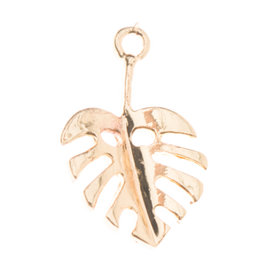 Monstera Charm